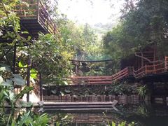 -海南槟榔谷黎苗文化旅游区