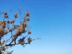 -青州市云门山风景区
