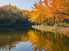 -南昌之星游乐场