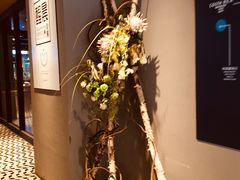 -sugarman espresso素饮糖人高新咖啡工厂