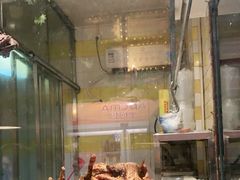 -老号尤兔头(西川店)