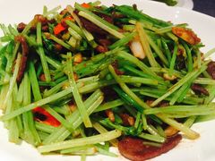 -北李妈妈菜·海肠捞饭(高新万达店)