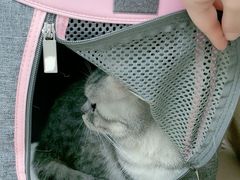 -美联众合动物医院·24h转诊中心