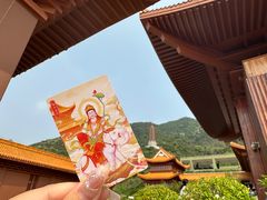 -深圳仙湖植物园