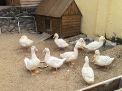 -HERRE·FARM 赫尔露营农场·团建聚会包场