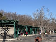 -西海子公园