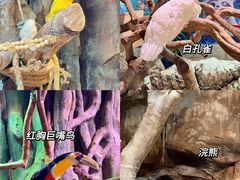 -正佳雨林生态植物园