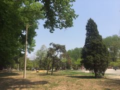 -二一九公园