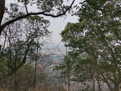 -上海佘山国家森林公园天马山园