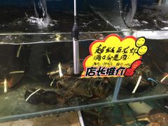 -蚝专家(北滘店)