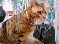 -小时光咖啡馆(开森度假森林店)
