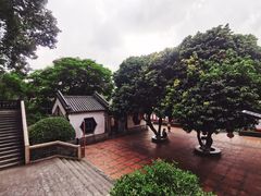 -广州神农草堂中医药博物馆