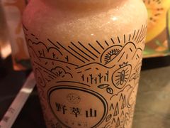 -野萃山·潮汕厚果汁(十亩地店)