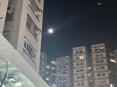 -澳洲牛奶公司(佐敦店)