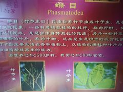 -上海昆虫博物馆