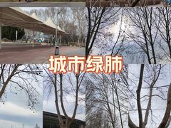 -郑州植物园