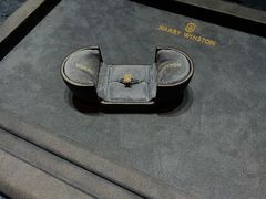 -Harry Winston 海瑞温斯顿