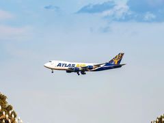 -空港花田景区