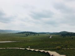 -乌兰布统草原