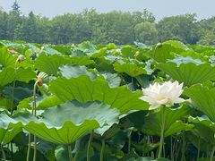 -云龙湖旅游景区