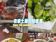 -品雅轩农家乐