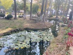 -湾里人家(旺山景区店)
