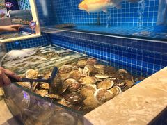 -乔哥铭洋海鲜自助(皇城恒隆广场店)