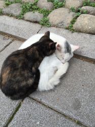 -Union瑜伽健康管理中心