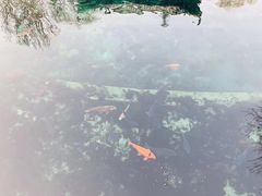 -百脉泉景区