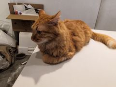 -Tempo Coffee(市二宮店)