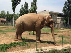 -石家庄市动物园