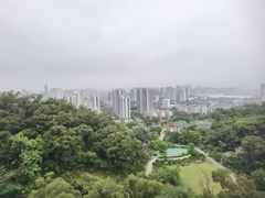 -金鸡山公园