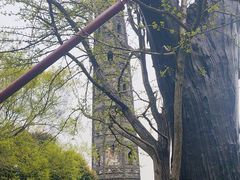 -上海佘山国家森林公园天马山园