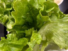 -罗记又添缘竹荪山药鸡·野生菌火锅(西园南路店)