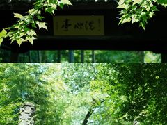 -云栖竹径