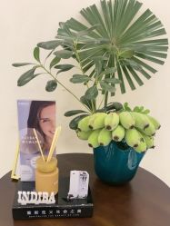 -尊尚柏丽美容SPA