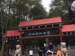 -原山国家森林公园