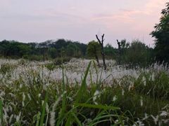 -青龙湖公园