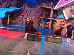 -烟台海昌鲸鲨海洋公园