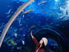 -海合安成都极地海洋公园