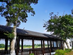 -梁鸿国家湿地公园