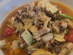 东安鸡-湘知湘味(岳麓山店)