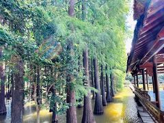 -采石矶景区