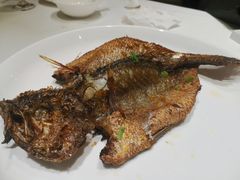 -金春禧(英雄山路旗舰店)