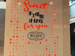 -野人先生现做冰淇淋(西安赛格店)