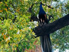 -J Create城市露营咖啡·简餐·宠物(上海动物园店)