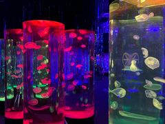 -成都浩海立方海洋公园