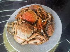 -梁子岛生态旅游区