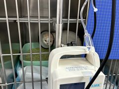 -良伴无忧宠物医院(泰欣嘉园店)