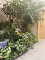 -An Ting岸汀·美容SPA